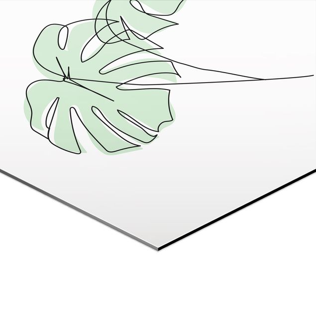 Obraz heksagonalny z Alu-Dibond 2-częściowy - Zestaw grafik liniowych z liśćmi monstery