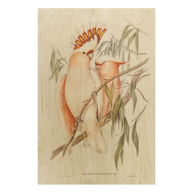 Obrazy na ścianę Ilustracja w stylu vintage różowy kakadu