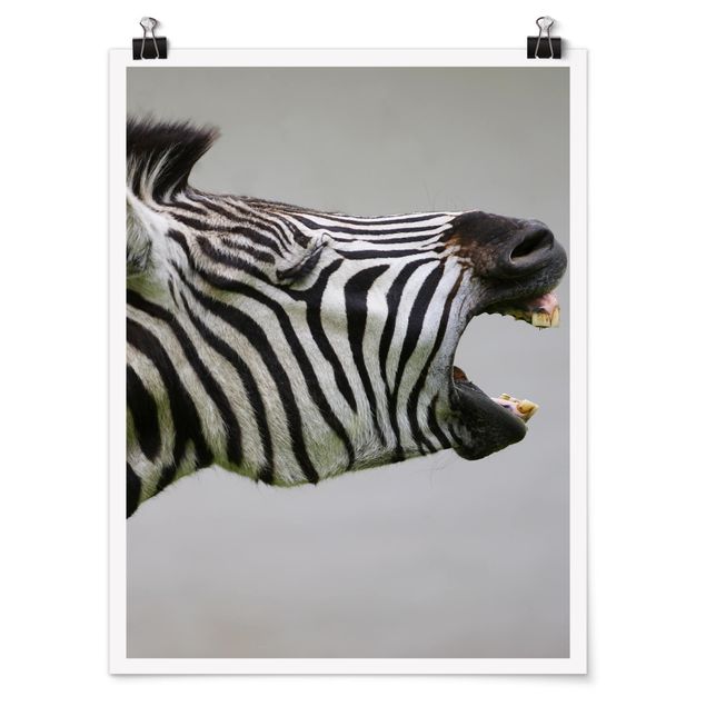 Obrazy ze zwierzętami Rycząca Zebra