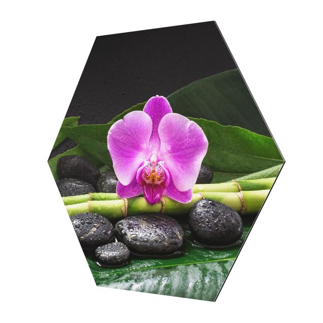 Nowoczesne obrazy Zielony bambus z kwiatem orchidei