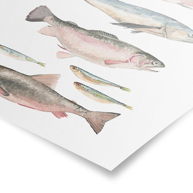Obrazy powiedzenia Siedem rybek w akwareli I