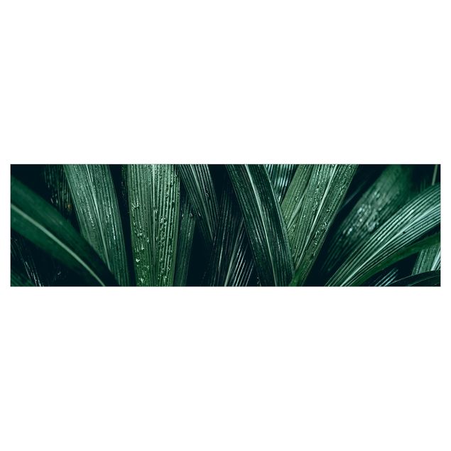Panel ścienny do kuchni - Zielone liście palmy