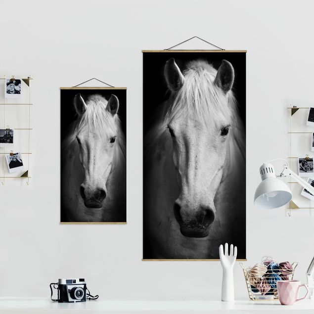 Czarno białe obrazy Marzenie o koniu