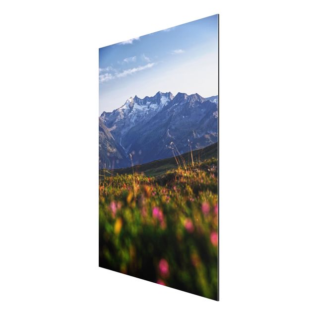Obrazy nowoczesne Kwietna łąka w górach