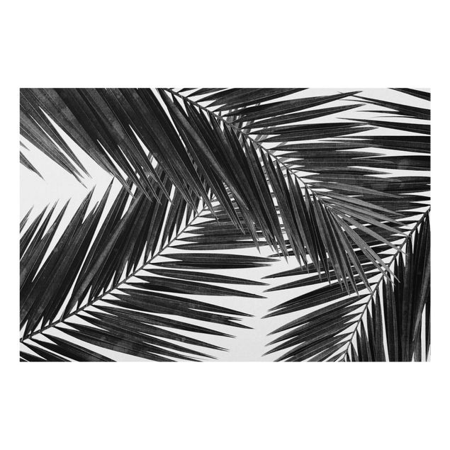 Panel szklany do kuchni - Widok przez liście palmy czarno-biały