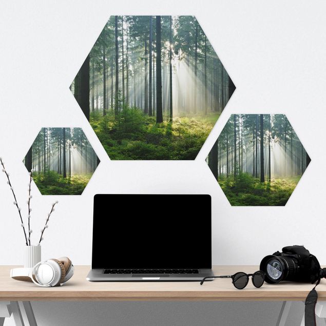 Obraz heksagonalny Świetlany las