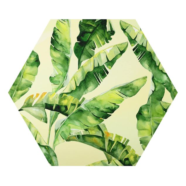 Obraz heksagonalny z Alu-Dibond - Liście bananowca Akwarela
