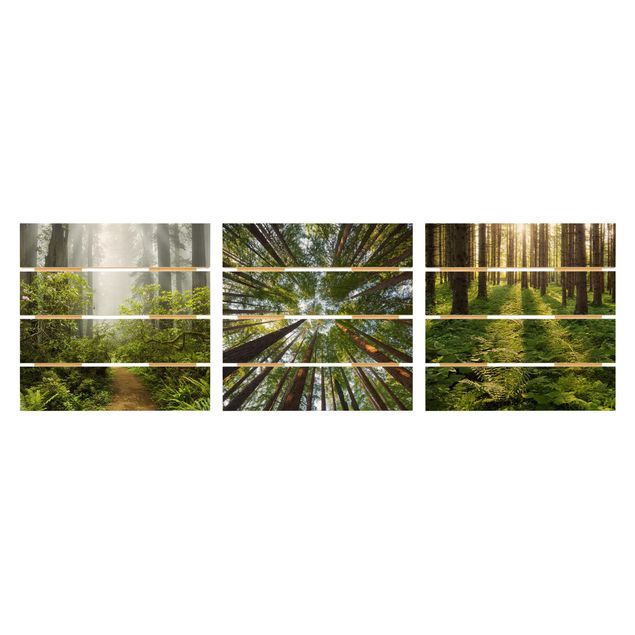 Obrazy z drewna Trio leśne