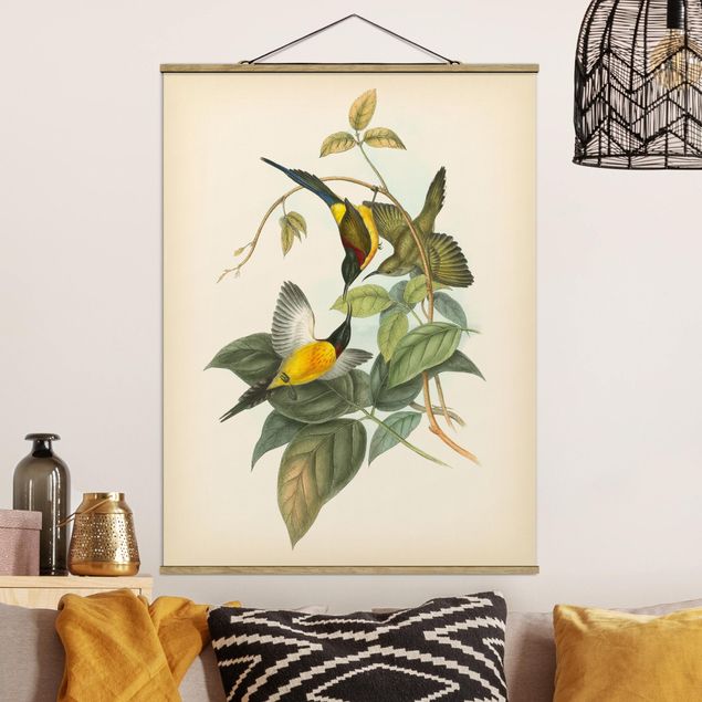 Dekoracja do kuchni Ilustracja w stylu vintage Ptaki tropikalne IV