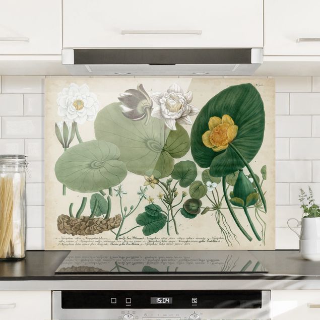 Dekoracja do kuchni Ilustracja w stylu vintage Biała lilia wodna