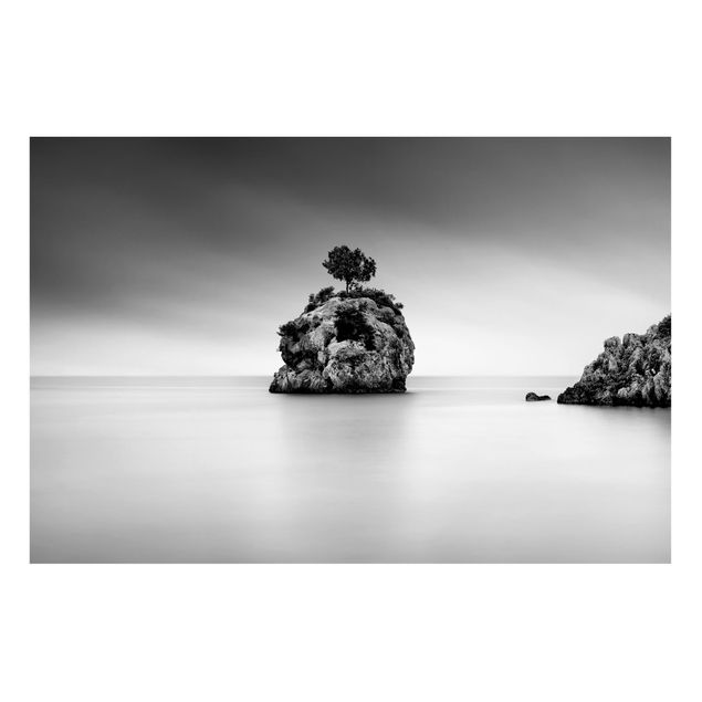 Obrazy do salonu Skalna wyspa na morzu Czarno-biały