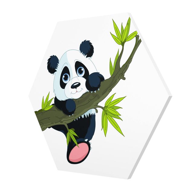 Panda obraz Panda wspinająca się