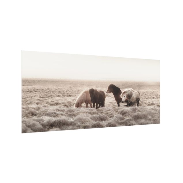 Panel szklany do kuchni - Islandzkie dzikie konie