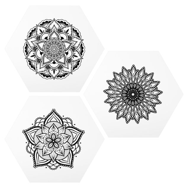 Obraz heksagonalny z Alu-Dibond 3-częściowy - Mandala Kwiat Słońce Zestaw ilustracji czarno-biały