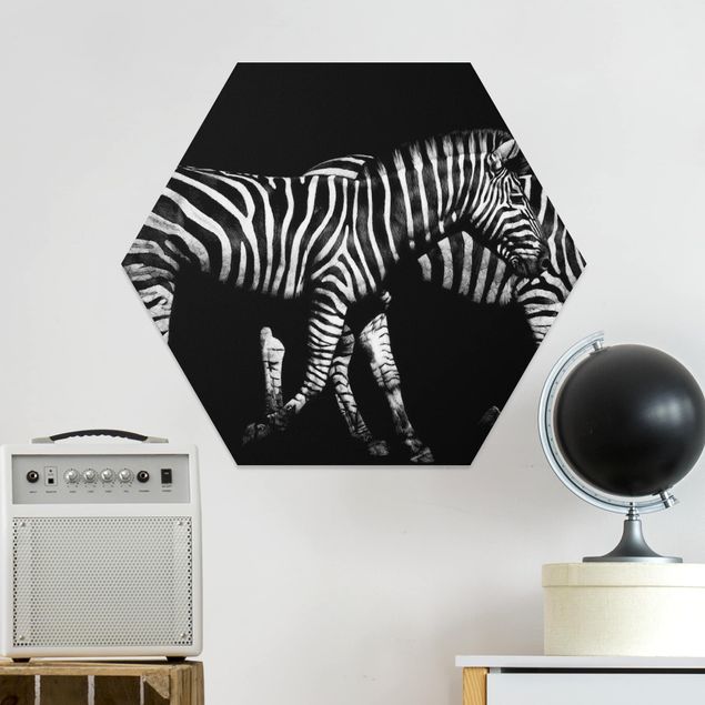 Obrazy do salonu Zebra przed Czarnym