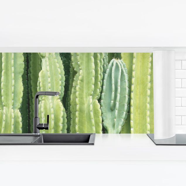 Panel ścienny do kuchni - Ściana kaktusów
