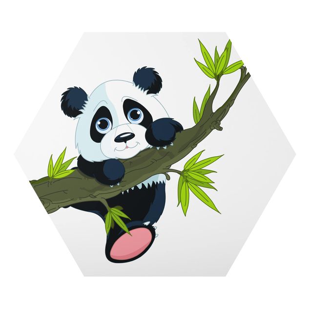 Obraz heksagonalny z Alu-Dibond - Panda wspinająca się