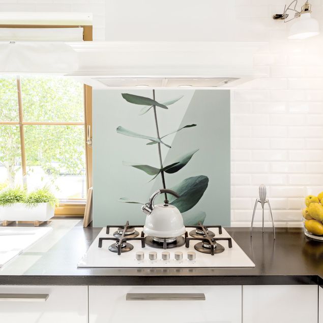 Panel szklany do kuchni Symetryczna gałązka eukaliptusa