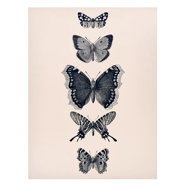 Obrazy do salonu Motyle z atramentu na beżowym tle