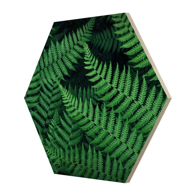 Obraz heksagonalny z drewna - Fern
