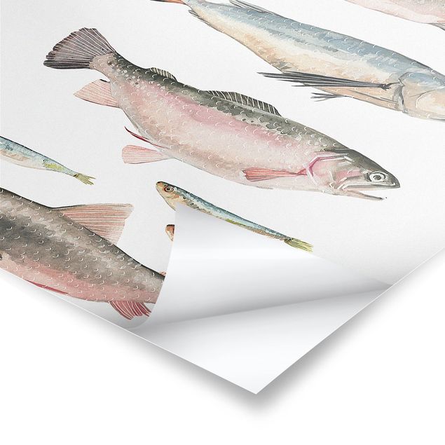 Plakaty powiedzenia Siedem rybek w akwareli I