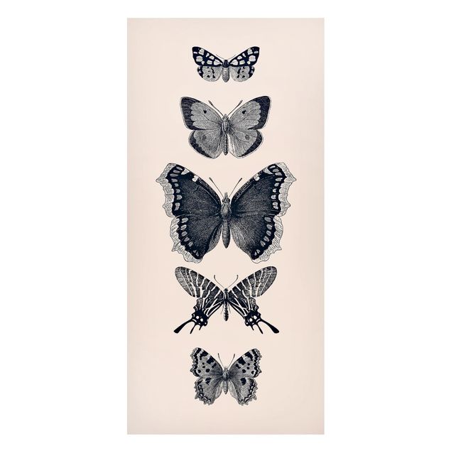 Obrazy do salonu Motyle z atramentu na beżowym tle