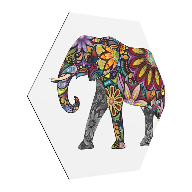 Zwierzęta obrazy Nr 651 Wzór słonia