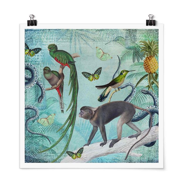 Obrazy nowoczesne Kolaże w stylu kolonialnym - małpy i rajskie ptaki