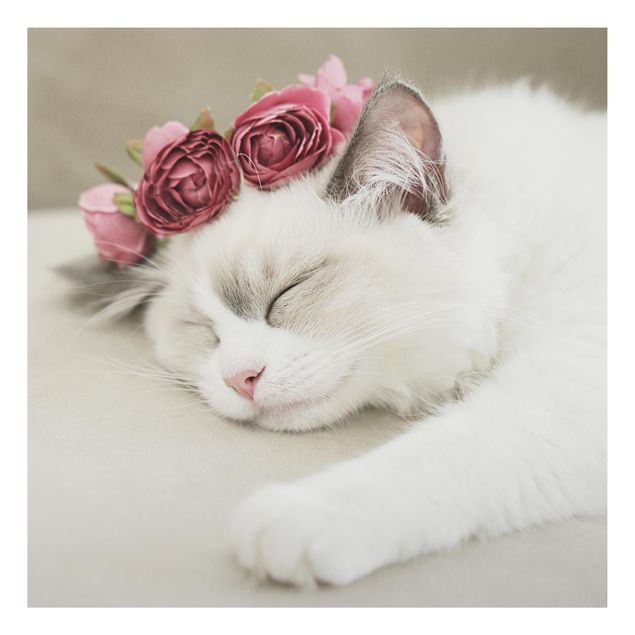 Obrazy nowoczesne Śpiący kot z różami
