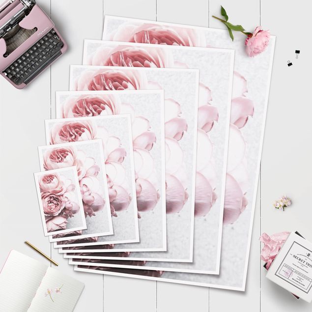 Plakaty na sciane Kwiaty różowej piwonii Shabby Pastel