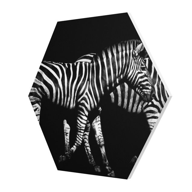 Czarno białe obrazy Zebra przed Czarnym