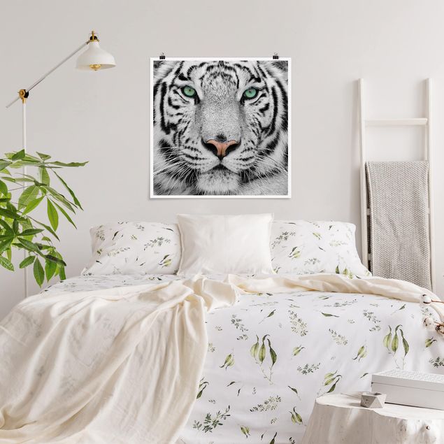 Dekoracja do kuchni Biały tygrys