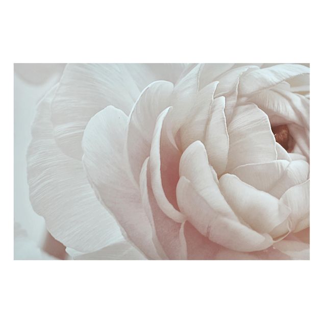 Obrazy do salonu Biały kwiat w morzu kwiatów