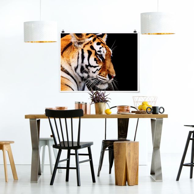 Obrazy nowoczesny Tiger Beauty