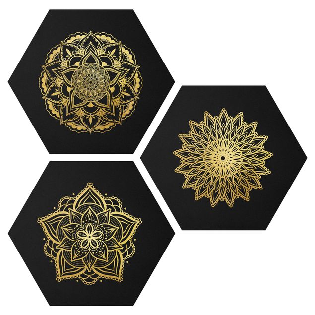 Obraz heksagonalny z Forex 3-częściowy - Zestaw ilustracji Mandala Flower Sun Czarne złoto