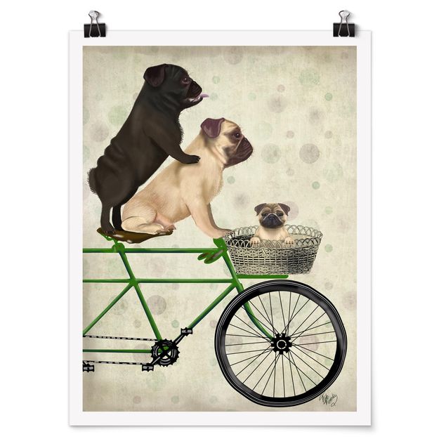 Obrazy nowoczesny Wycieczka rowerowa - Pugs on Bikes