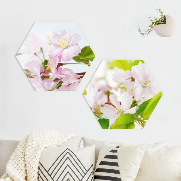 Obraz heksagonalny z Forex 2-częściowy - Wiśnia ozdobna z kwiatami