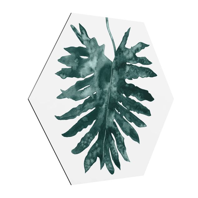 Obraz heksagonalny z Alu-Dibond - Smaragd zielony Philodendron Bipinnatifidum