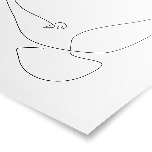 Czarno białe obrazki Line Art Dove