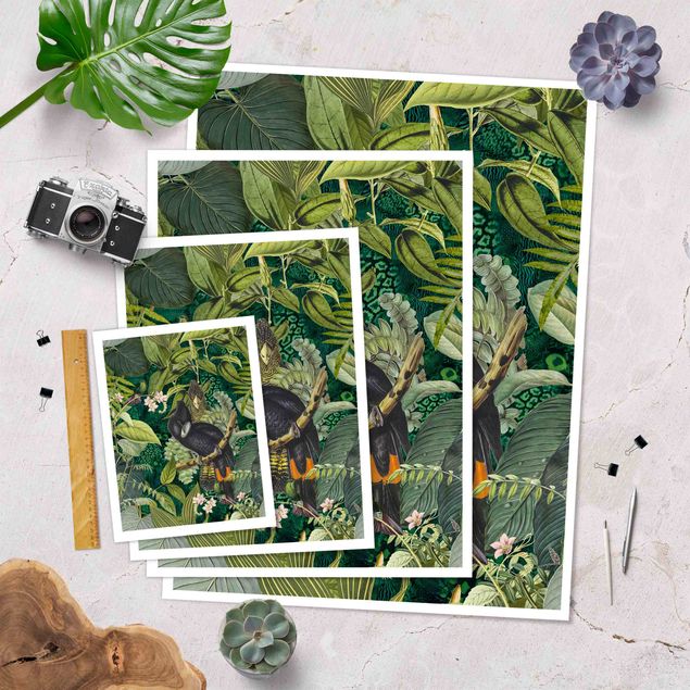 Andrea Haase obrazy  Kolorowanka - Kakadu w dżungli