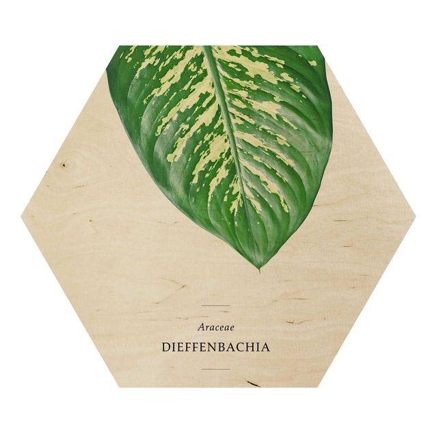 Obraz heksagonalny z drewna - Tropikalny liść Dieffenbachia