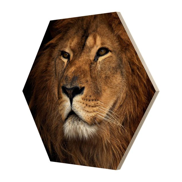 Obraz heksagonalny z drewna - Widok lwa