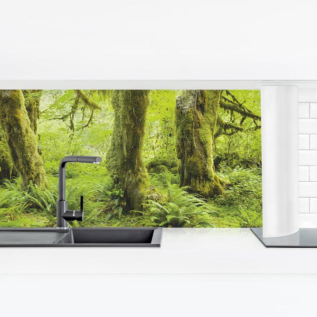 Panel szklany do kuchni Hall of Mosses Olympic National Park