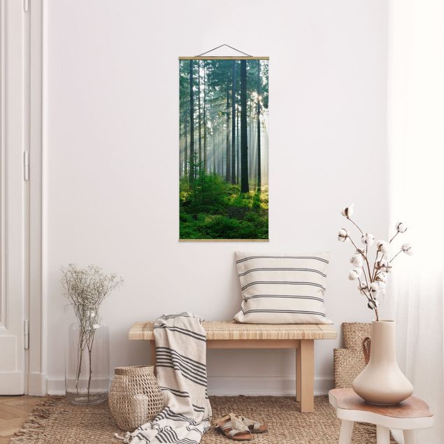 Obrazy nowoczesny Świetlany las