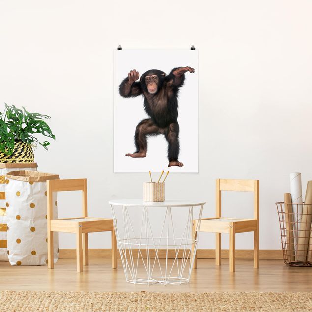 Obrazy do salonu Zadowolona małpa