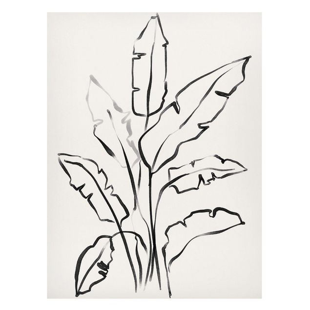 Obrazy do salonu nowoczesne Rysunek liści bananowca