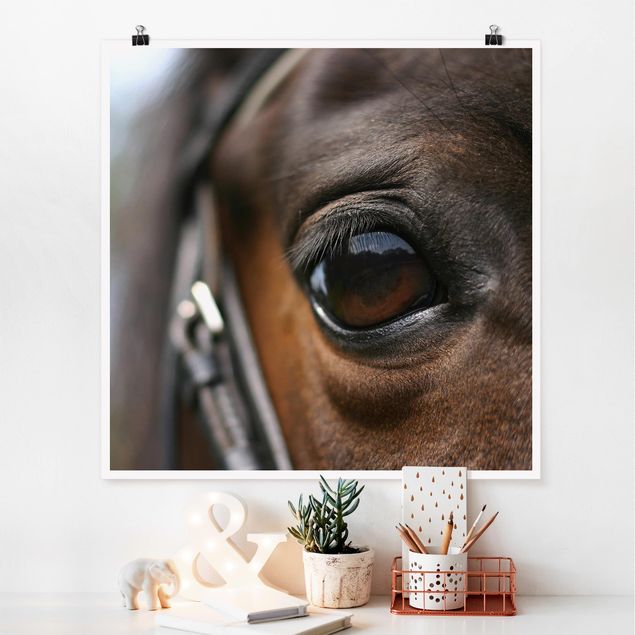 Obrazy nowoczesny Horse Eye Nr 3