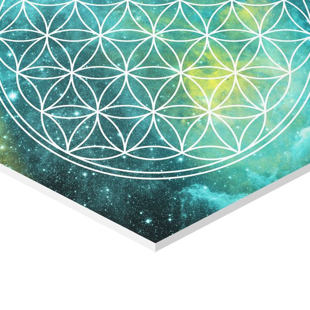 Obraz heksagonalny z Forex - Kwiat życia w świetle gwiazd
