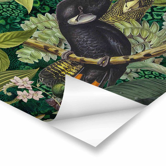Obrazy z motywem kwiatowym Kolorowanka - Kakadu w dżungli