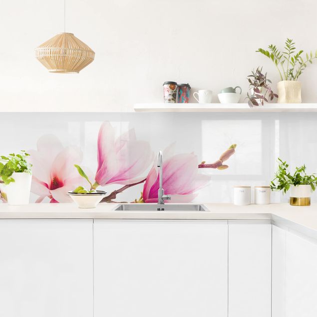 Panele szklane do kuchni Gałązka magnolii delikatnej
